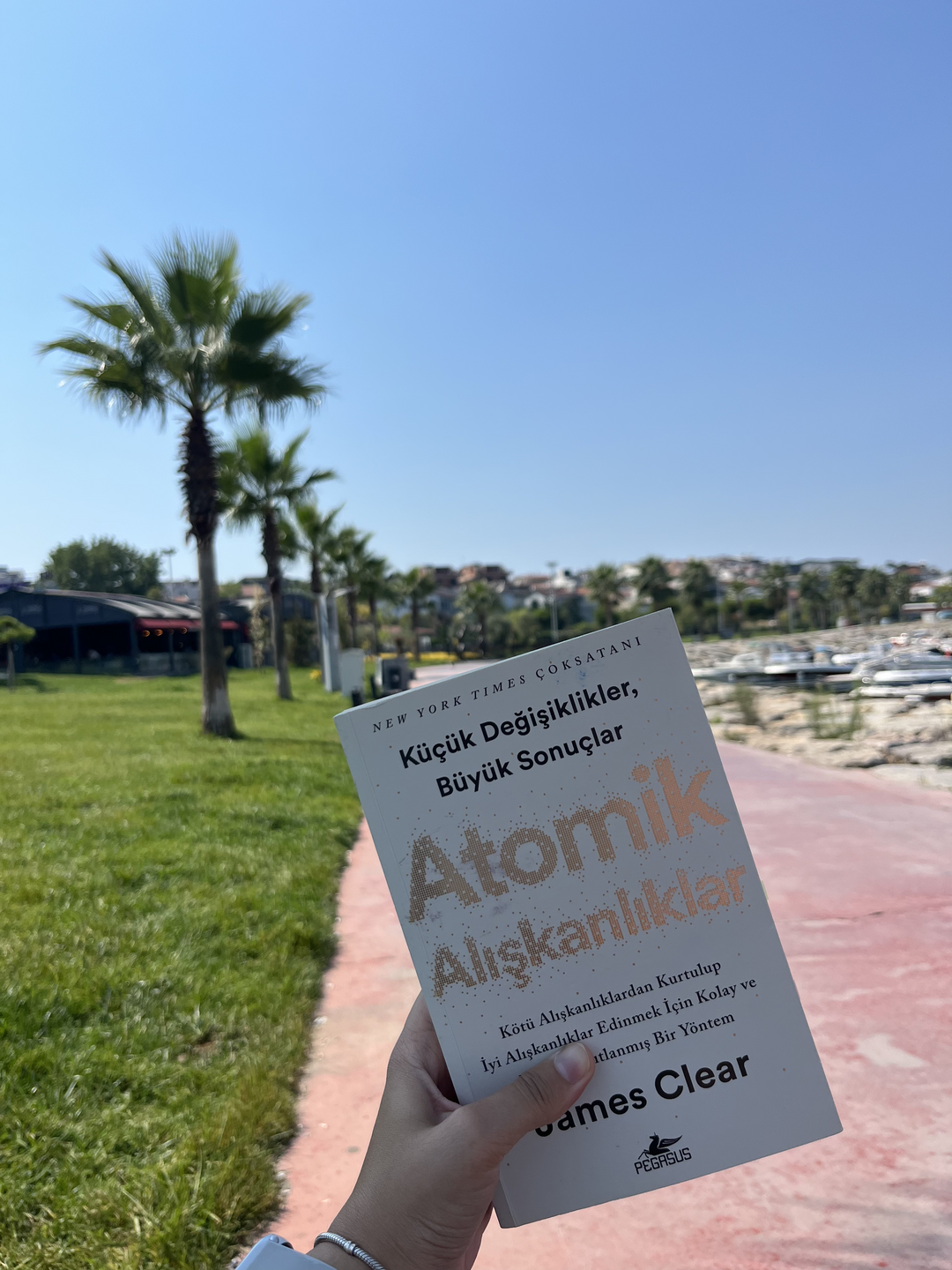 atomik-aliskanliklar-kitap-incelemesi-deniz-sahil-psikolog