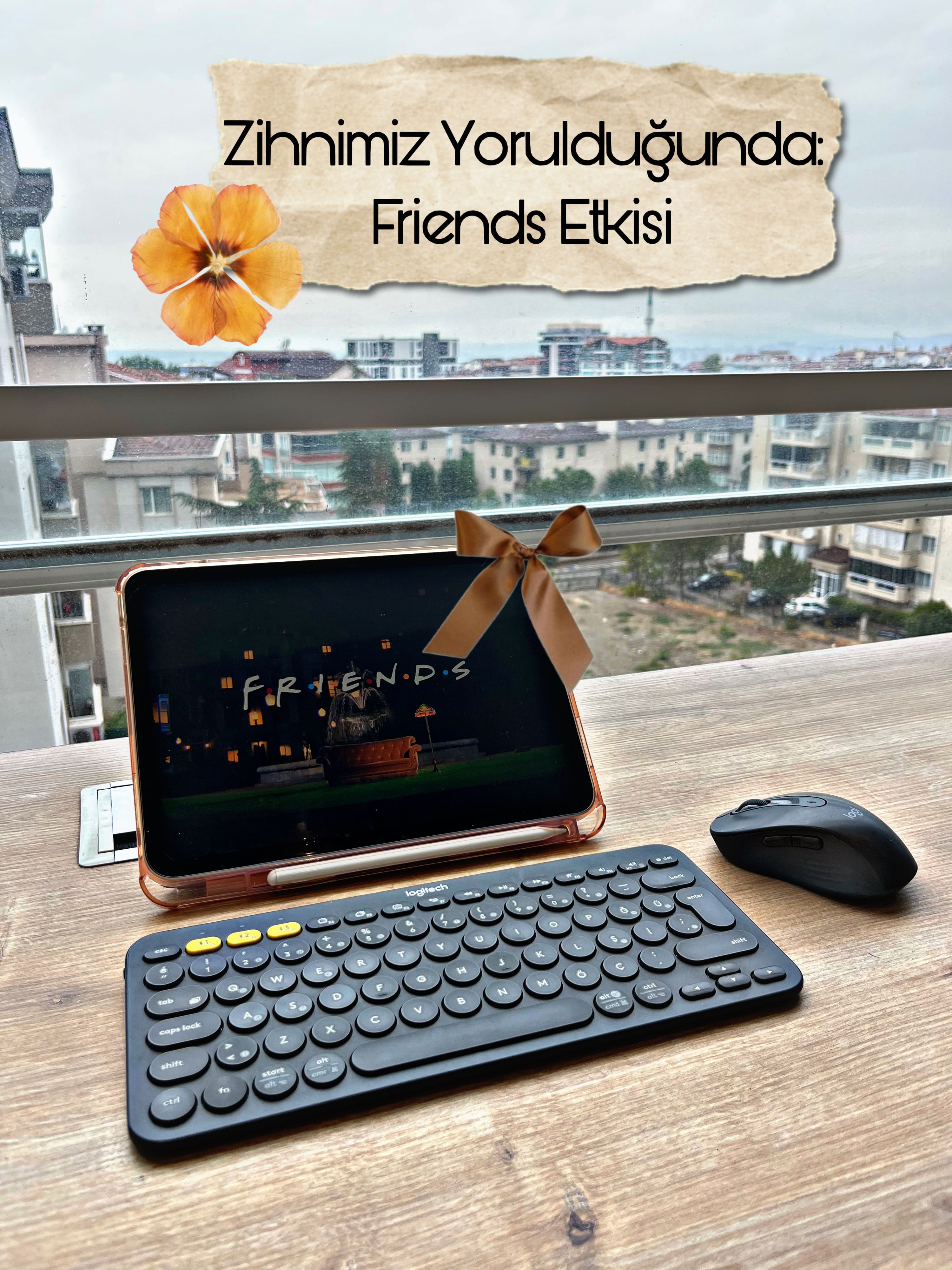 friends-etkisi-zihnimiz-manzara-psikoloji-bursa-psikolog