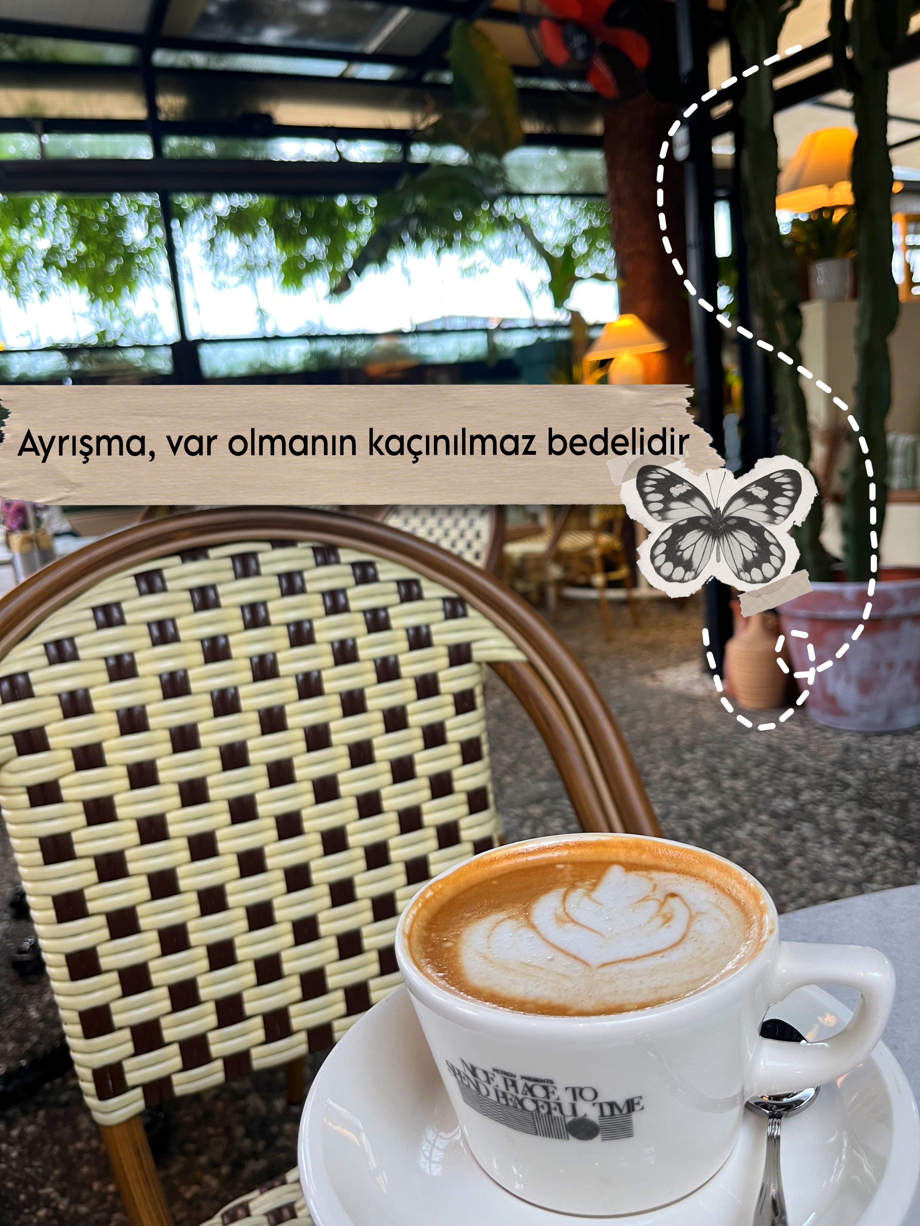 ayrısma-bireylesme-kelebelek-kahve-manzara